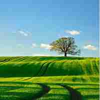 什​么‍是‍营‍销​自‌动﻿化‍